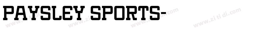 paysley sports字体转换